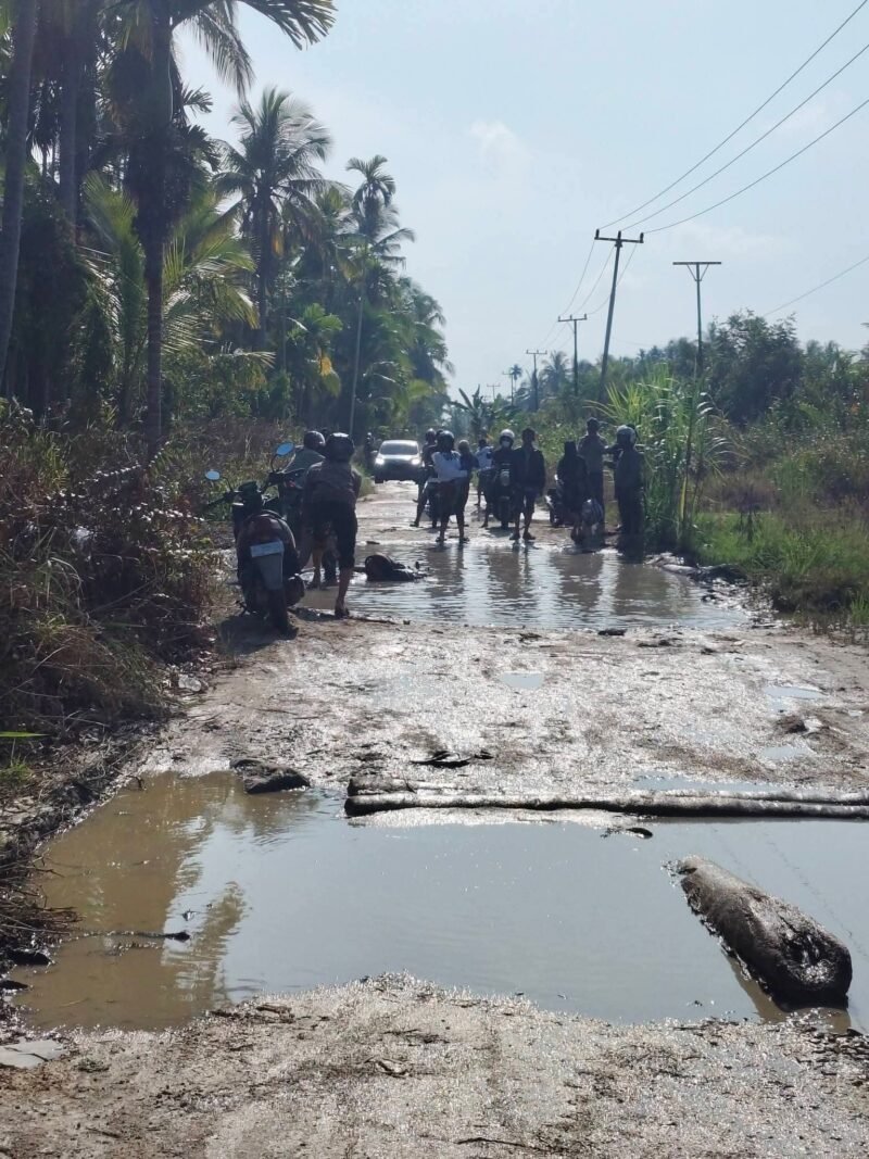 Bupati kabupaten Indragiri Hilir 